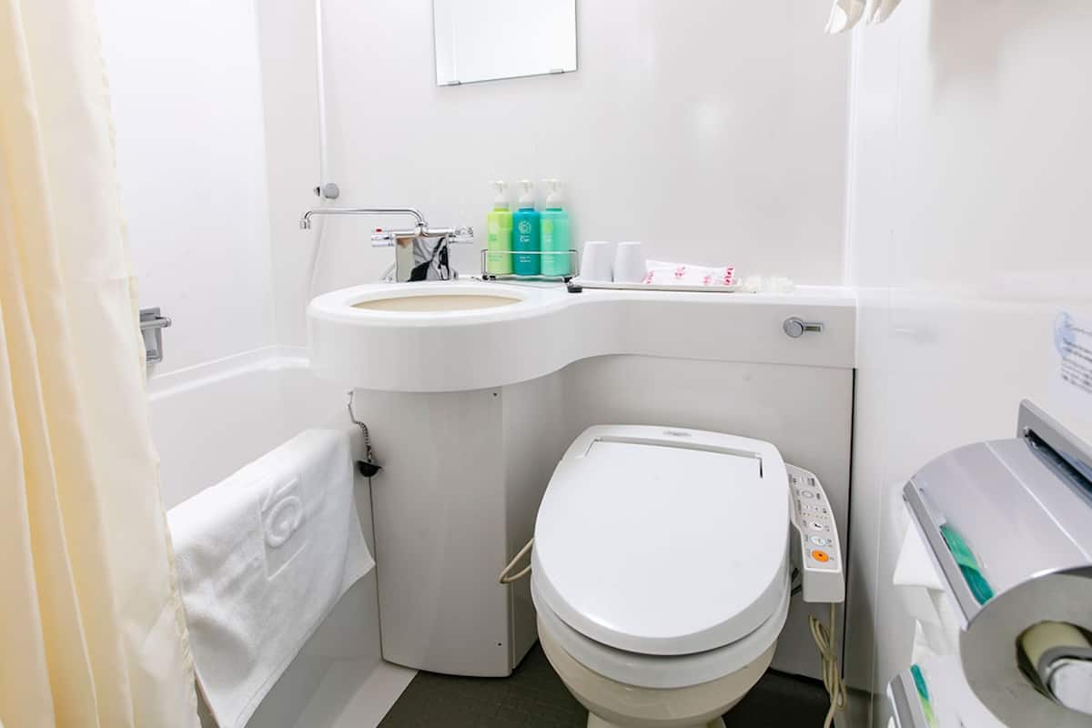 combined shower/bathtub, free toiletries, hair dryer, bathrobes