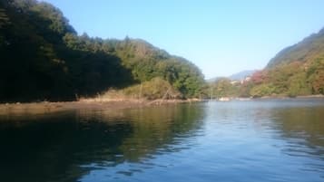 Um rio tranquilo com vegetação densa em ambas as margens.