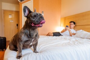 Commodités adaptées aux animaux