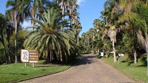 A paved pathway flanked by palm trees and a sign for Jardim Botânico in Porto Alegre. - ibis Porto Alegre Moinhos de Vento (Porto Alegre)