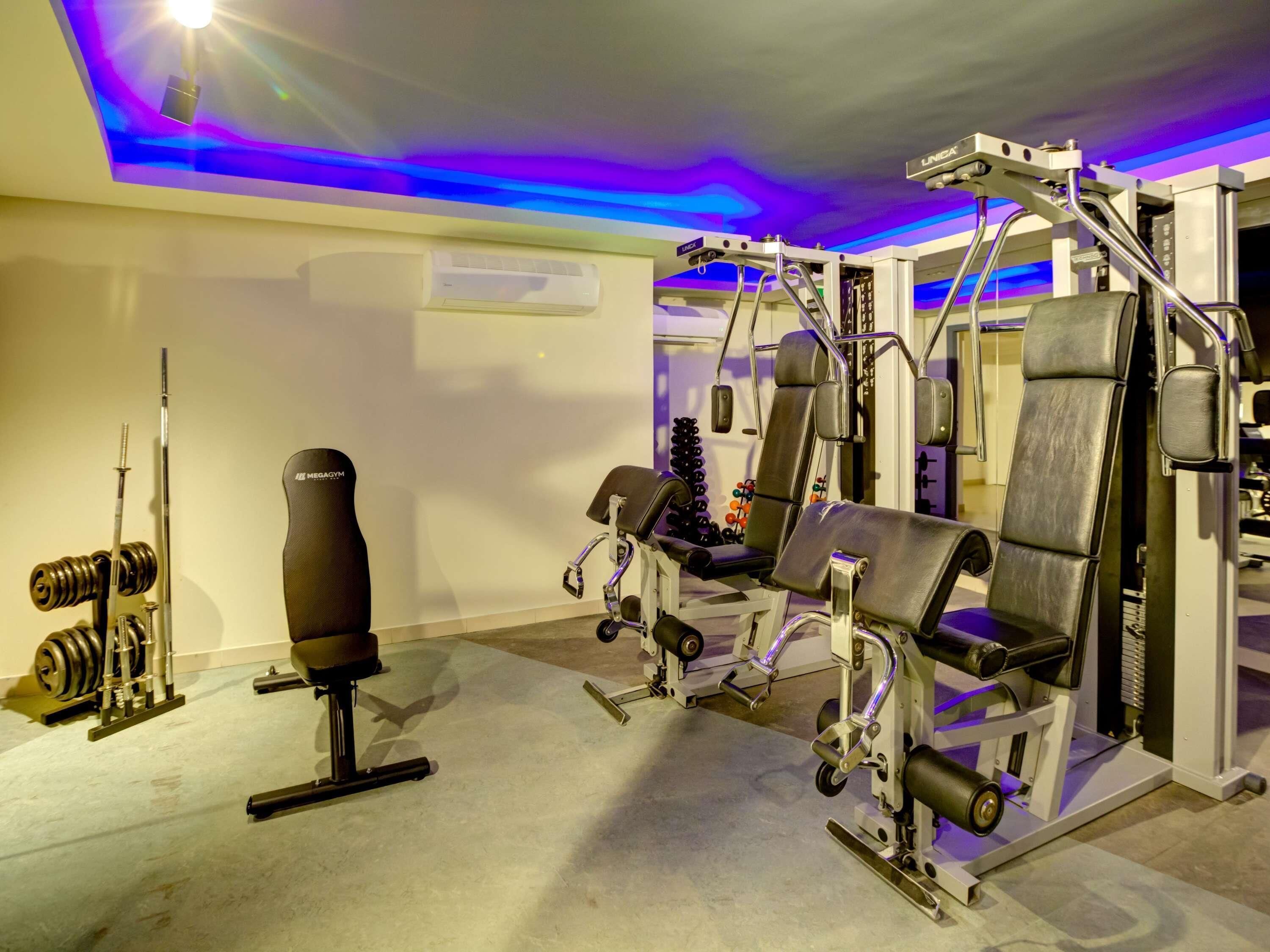 A gym with weightlifting equipment, a bench, and a squat rack.