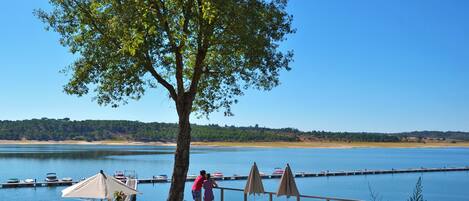 A lakeside terrace with a tree, umbrellas, and a view of boats on the water.