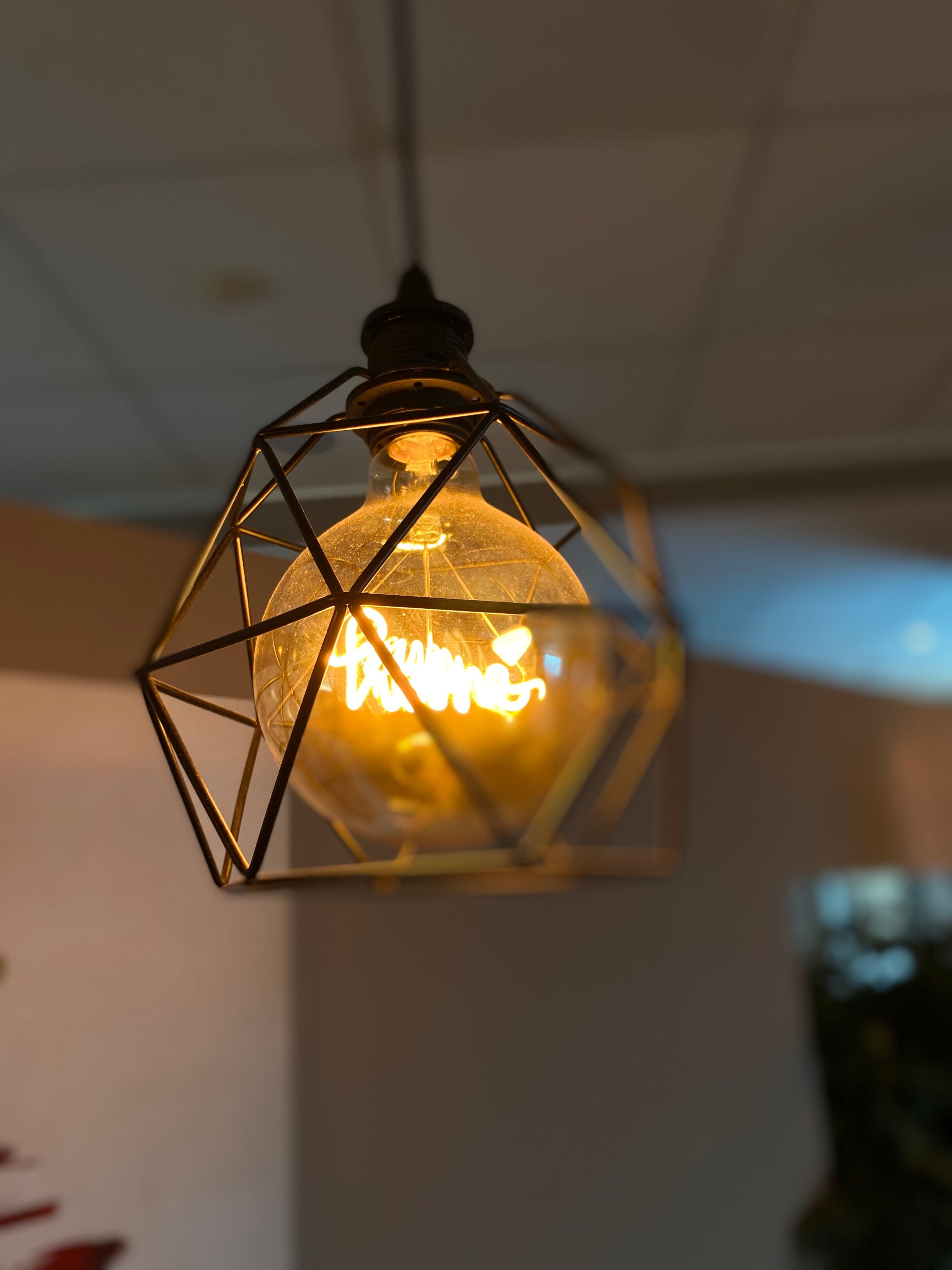 breakfast and dinner served, italian cuisine