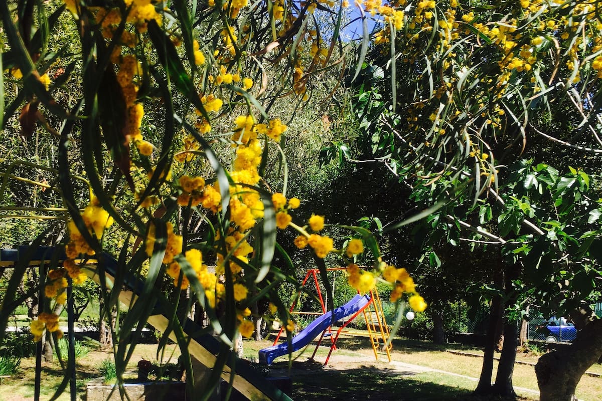 A playground with a slide and swings, surrounded by trees and yellow flowers.
