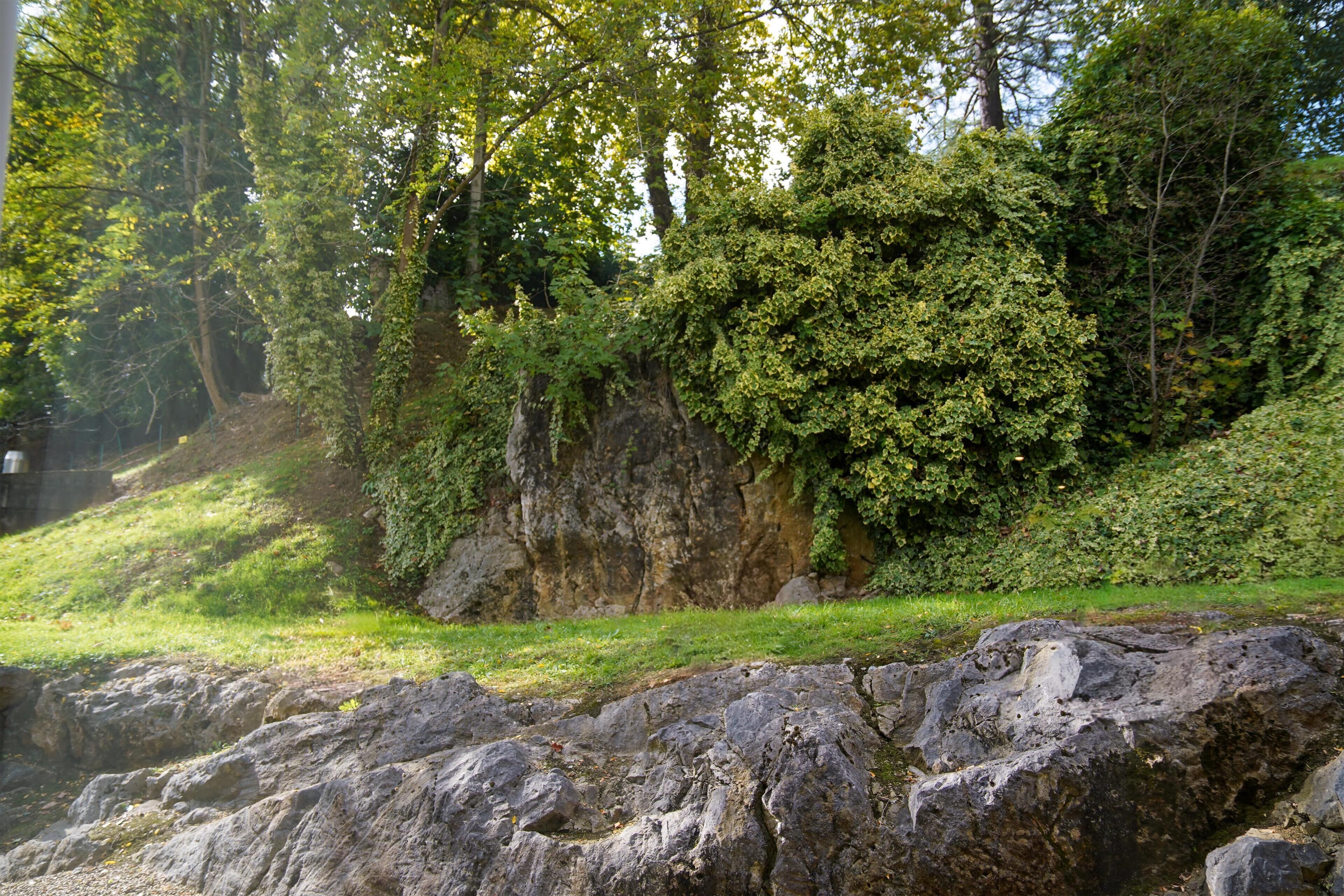 Eine felsige Landschaft mit einer grasbewachsenen Böschung und dichtem Grün.