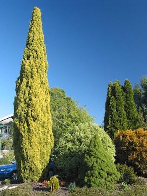 Exterior - Aalton Motel (Christchurch)