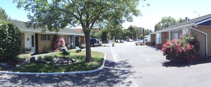 Property grounds - Aalton Motel (Christchurch)