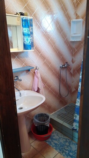 Combined shower/tub, free toiletries, hair dryer, towels