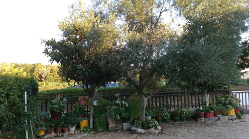 Family pension Ivanka Barac