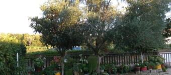 Family pension Ivanka Barac