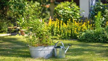 A garden with a metal watering can and a metal bucket with plants.