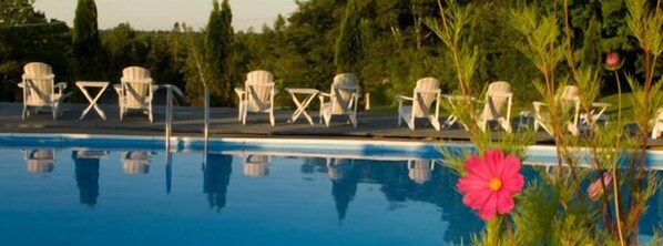 Seasonal outdoor pool, sun loungers