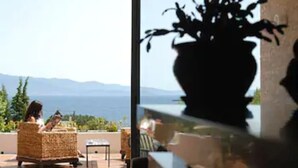 Une pièce avec vue sur la mer et les montagnes, une chaise en osier et une plante en pot.