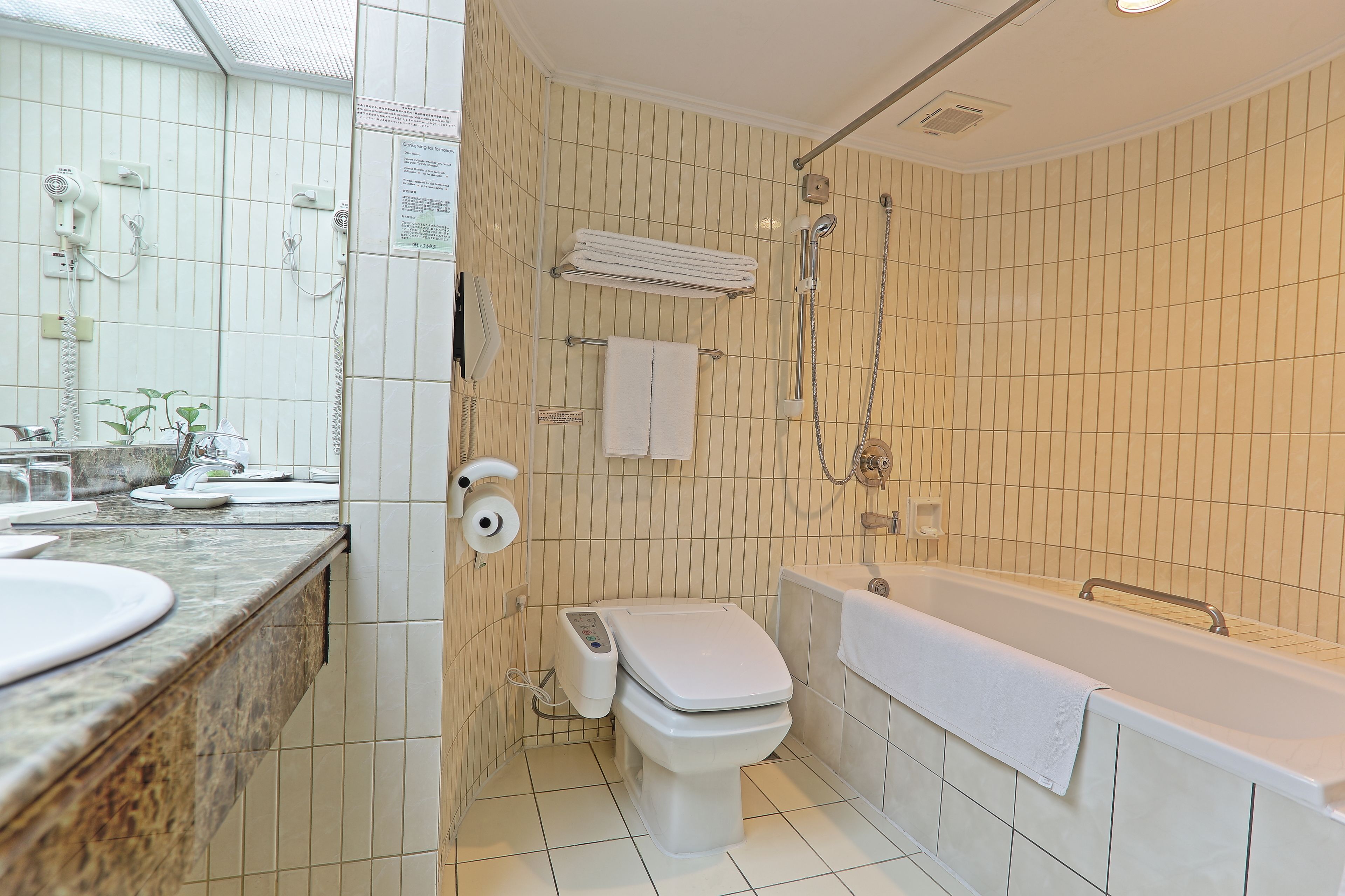Hydromassage showerhead, hair dryer, slippers, bidet