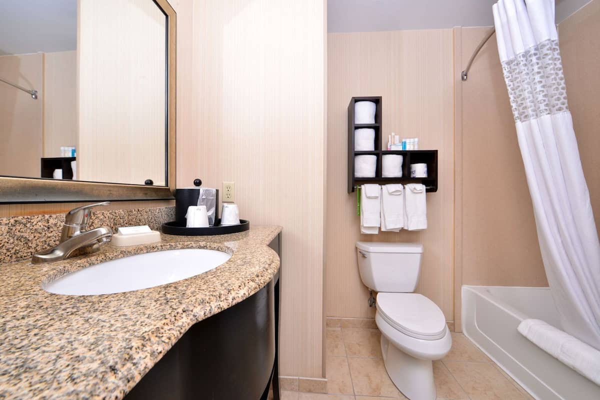 A bathroom with a granite countertop sink, a mirror, a toilet, and a shower with a curtain.