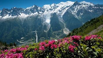 2 bedrooms, premium bedding, free WiFi