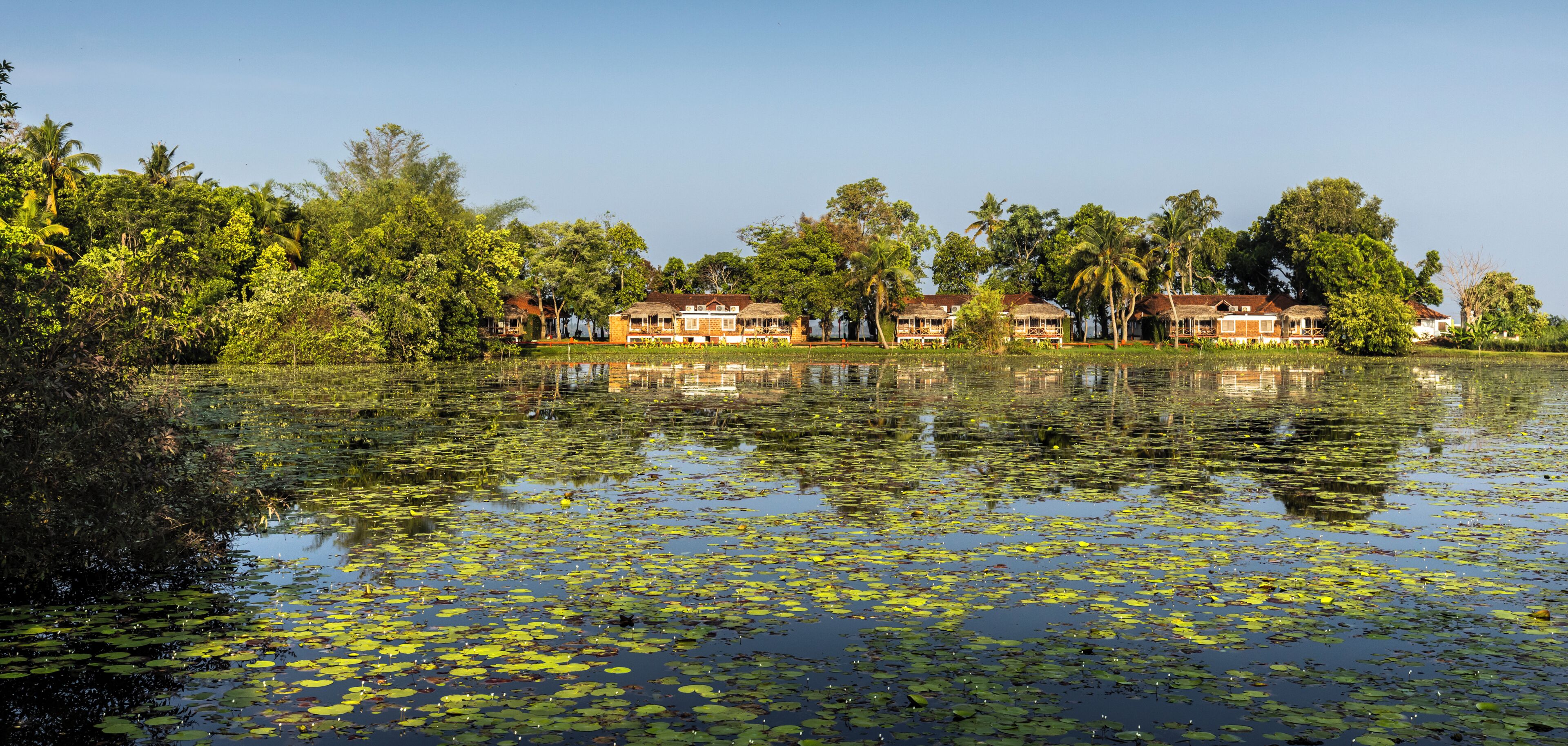 Un hotel junto al lago con varias construcciones, rodeado de vegetación exuberante y una superficie acuática tranquila con nenúfares.