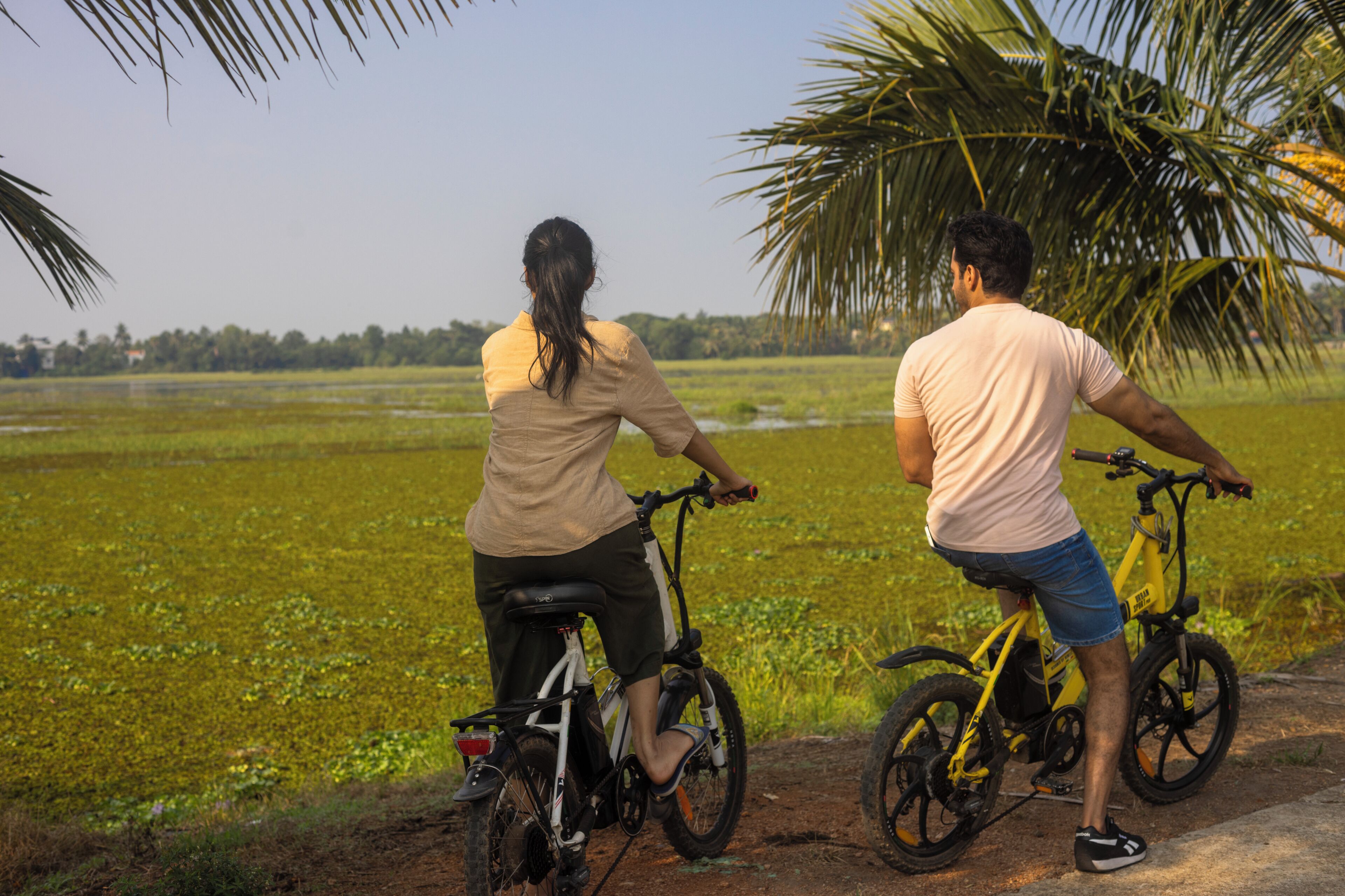 Two people riding bicycles on a path beside a green field with palm trees.