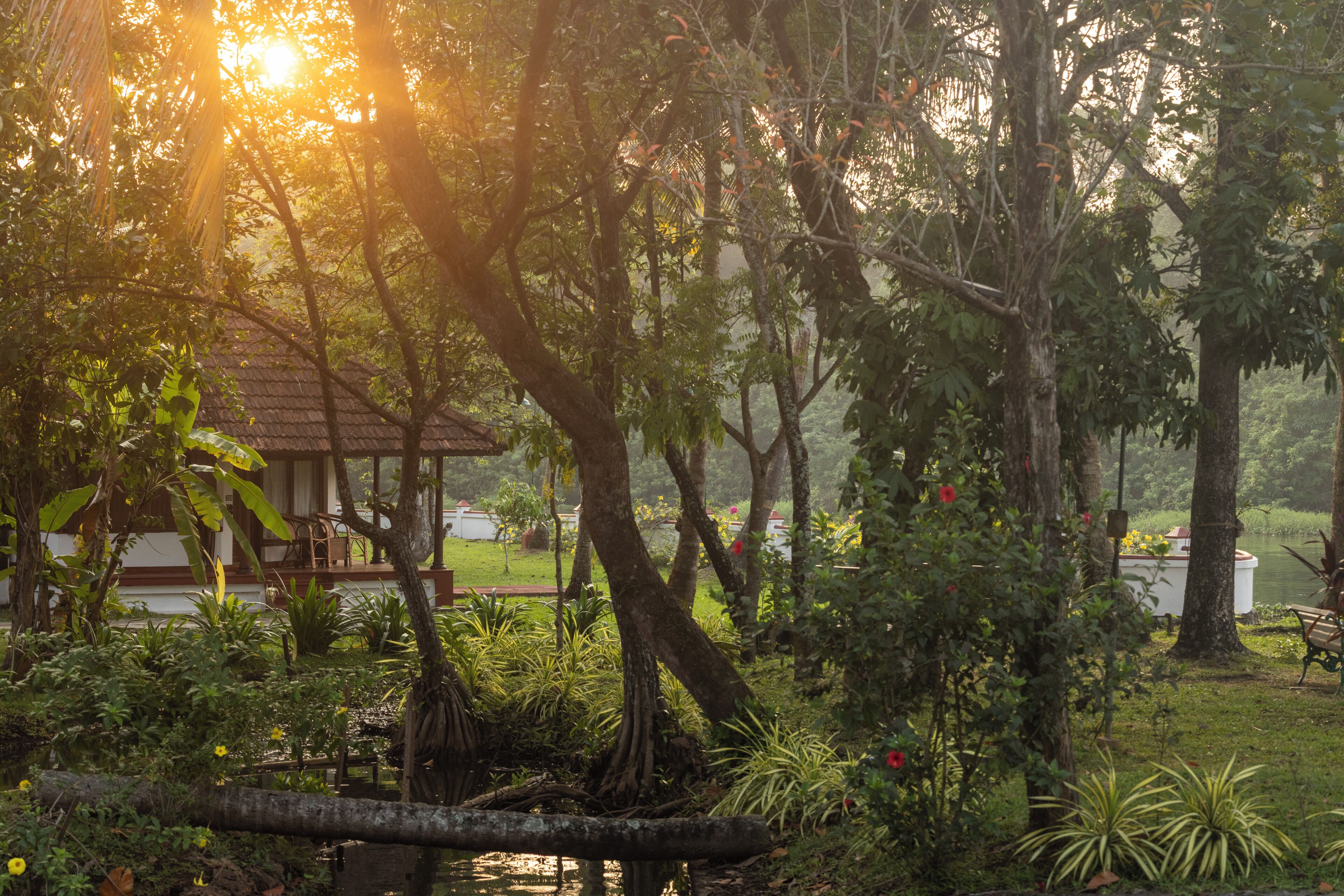 Bungalow | Ropa de cama de alta calidad y minibar 