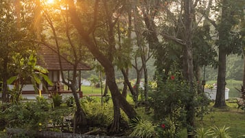 Bungalow | Ropa de cama de alta calidad y minibar