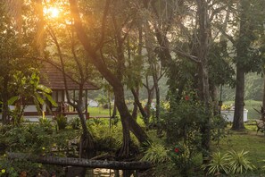 Bungalou | Roba de llit d'alta qualitat, minibar i caixa forta a l'habitació 