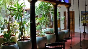 A spacious indoor area with large potted plants, a wooden swing chair, and a ceiling with blue lighting. - Maison Perumal - Cgh Earth (Puducherry)