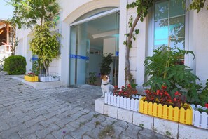 Entrada de la propiedad