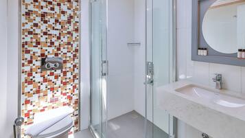 A modern bathroom with a glass shower enclosure, a toilet, and a vanity with a mirror.