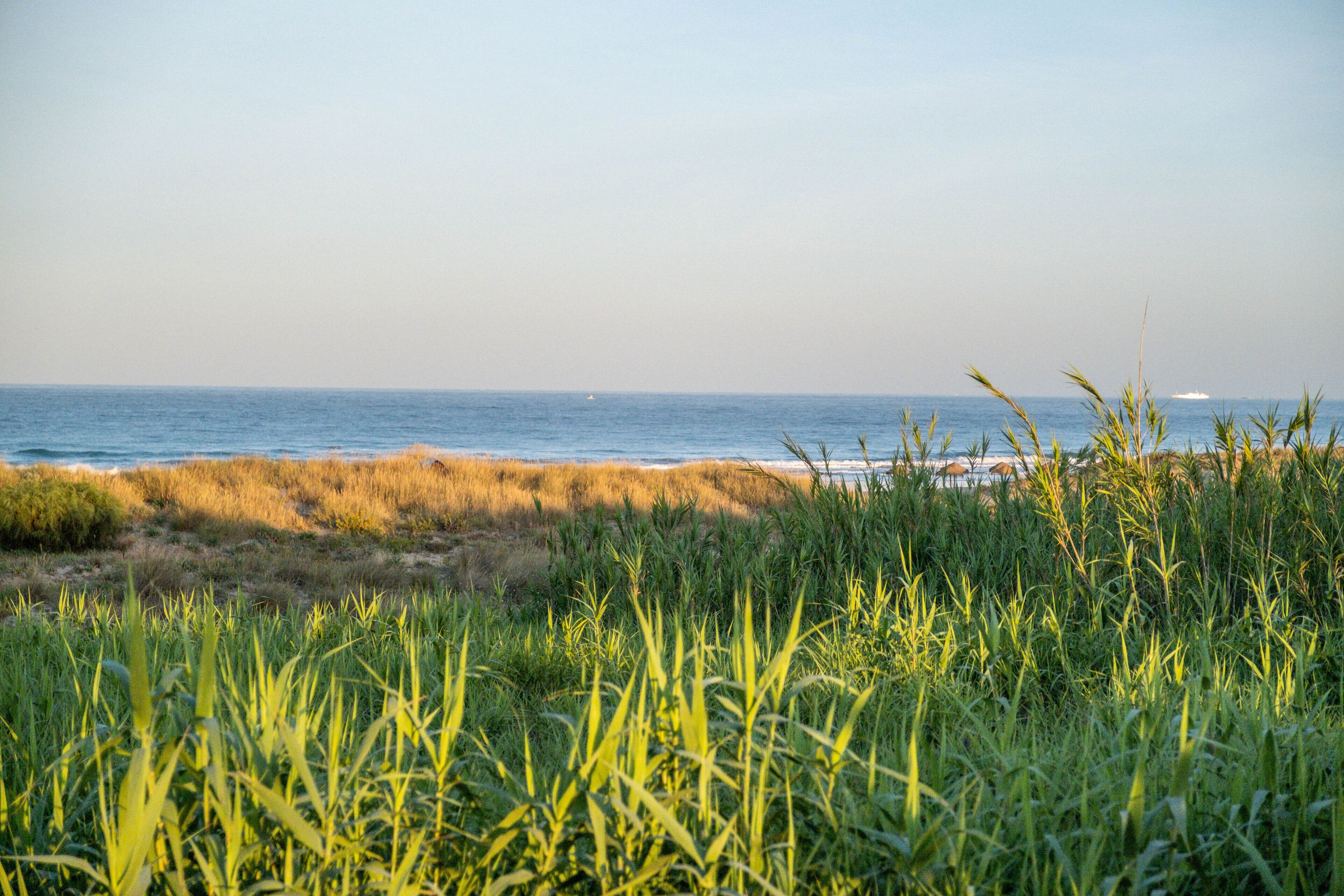 beach nearby, white sand, beach towels