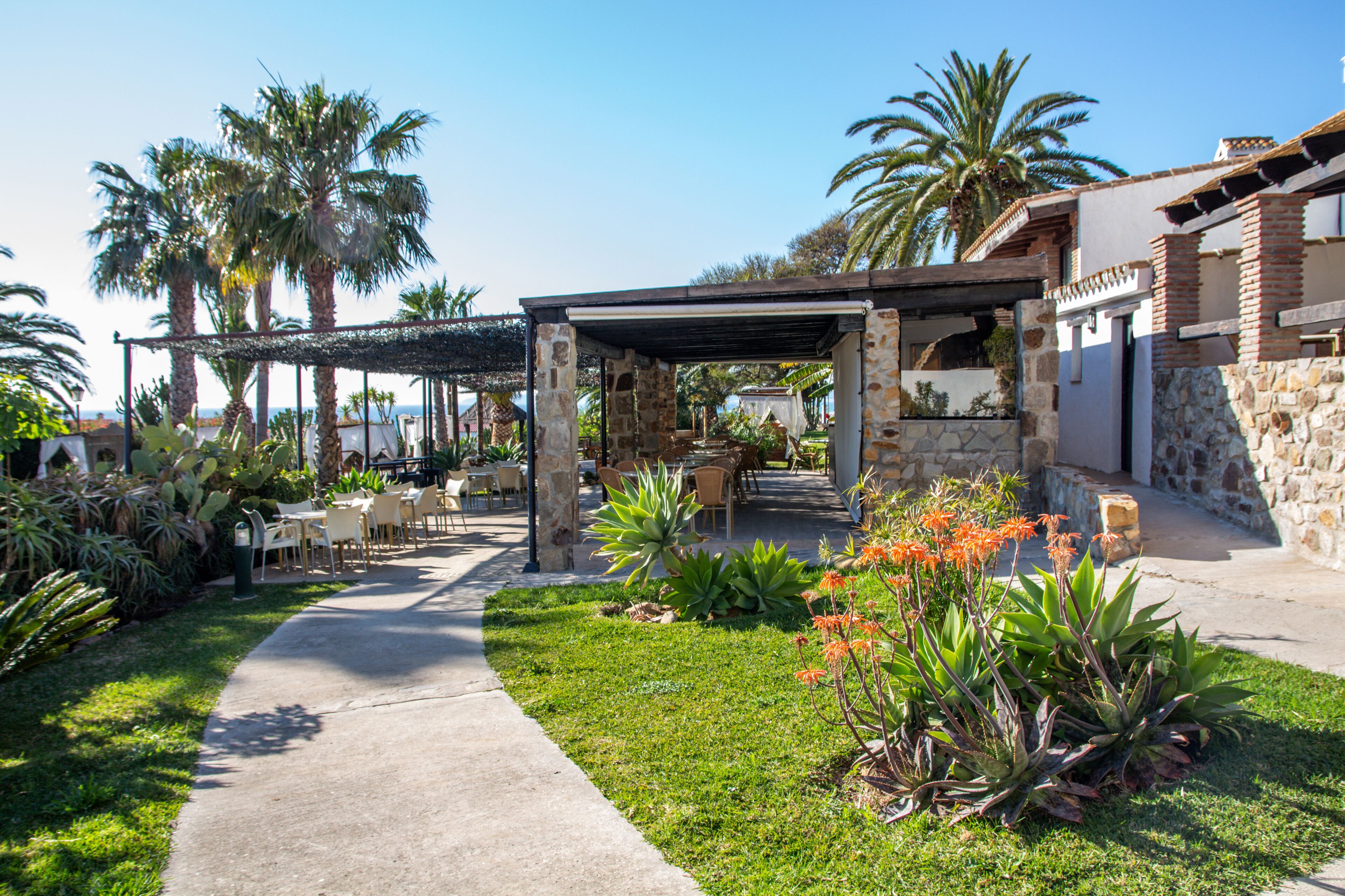Un espace patio avec des sièges extérieurs, entouré de palmiers et de différentes plantes.