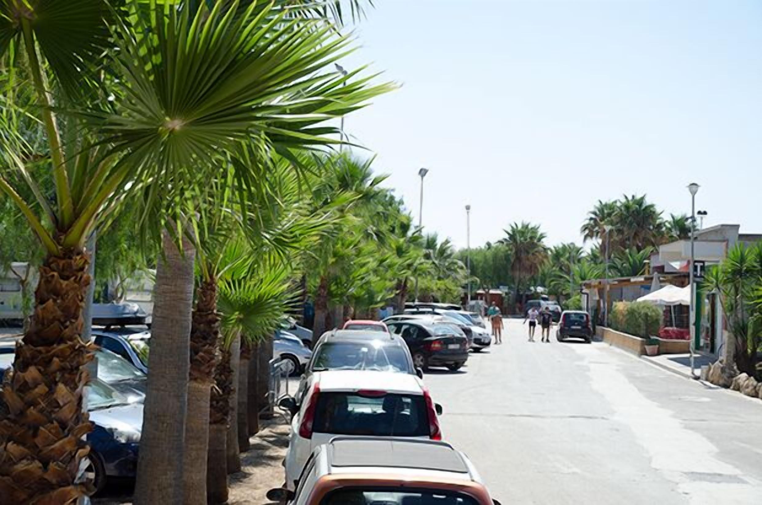 A street lined with parked cars and palm trees, leading to a building with a sign that appears to be a business.