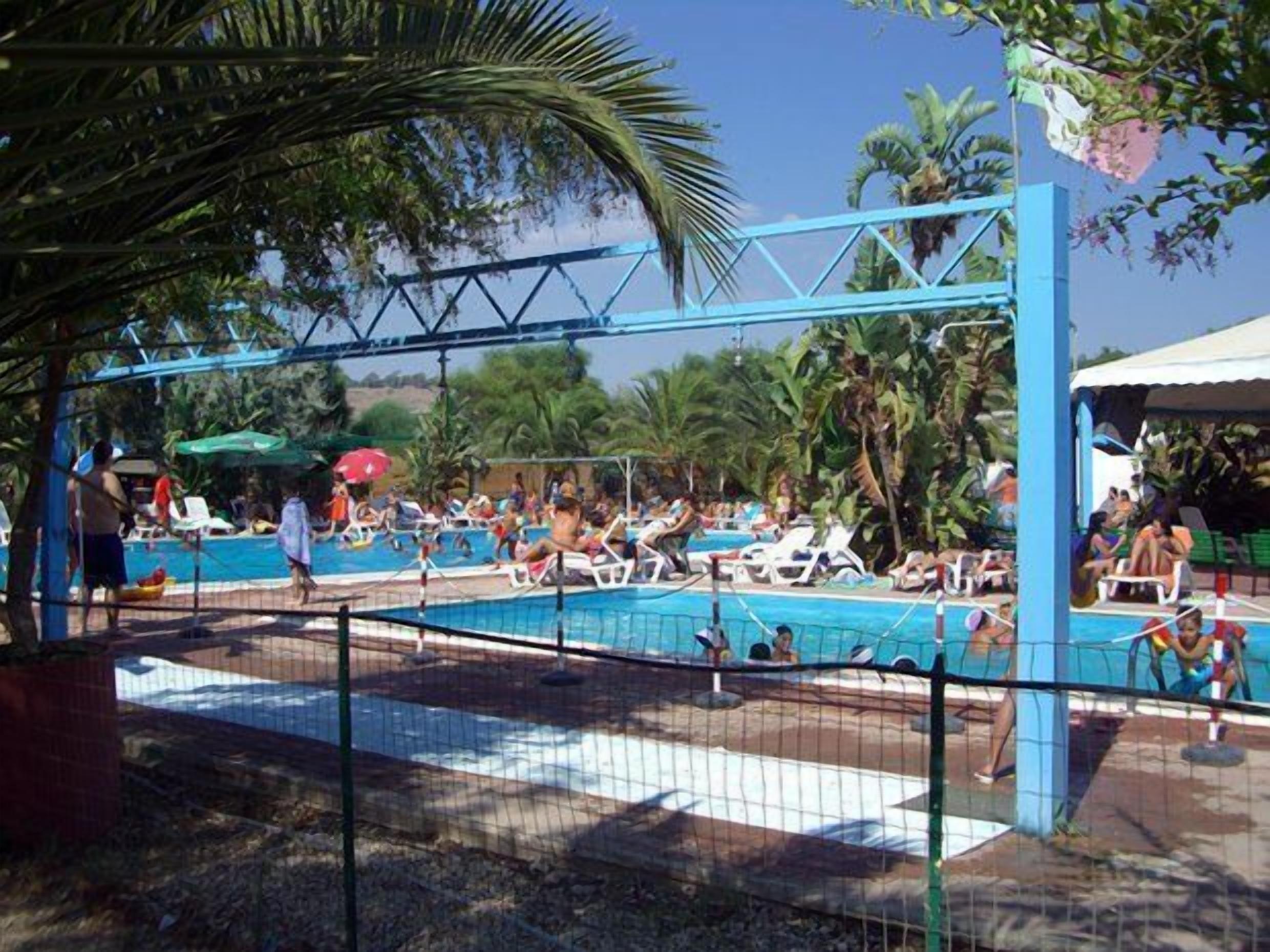 A pool area with lounge chairs and umbrellas, surrounded by palm trees.