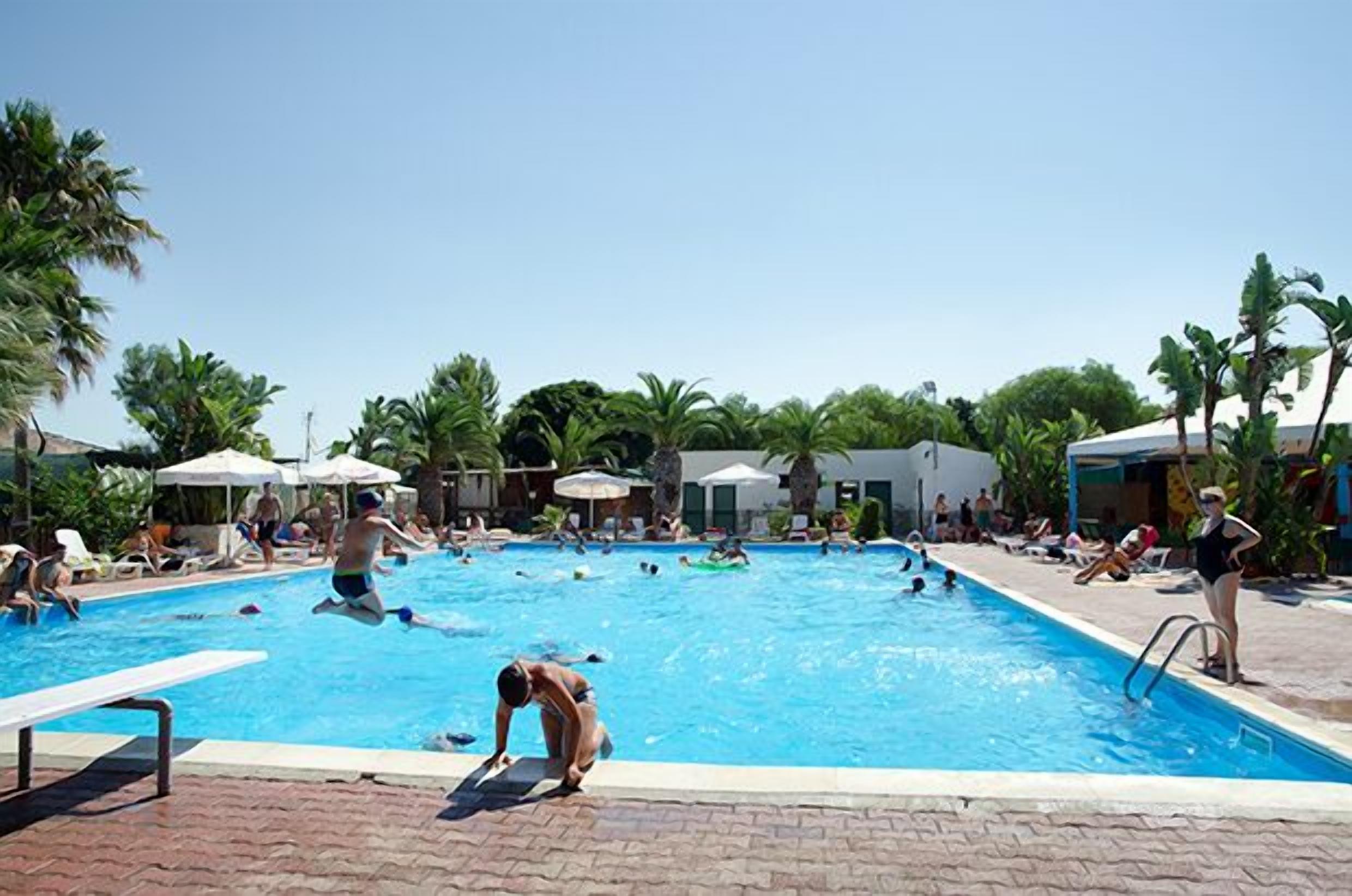 A swimming pool with multiple lanes, palm trees, and lounge chairs.