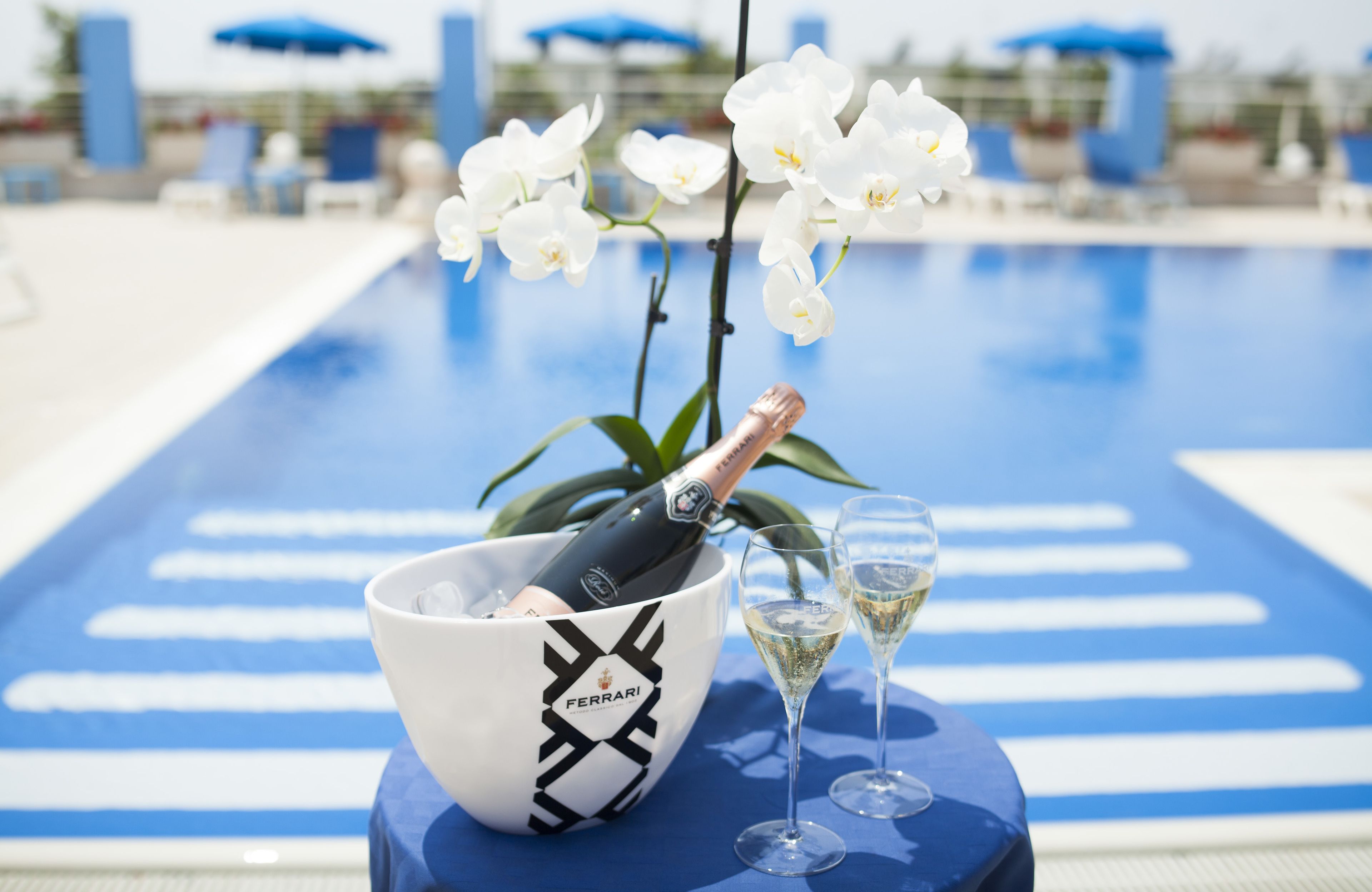 Outdoor pool, pool umbrellas, sun loungers