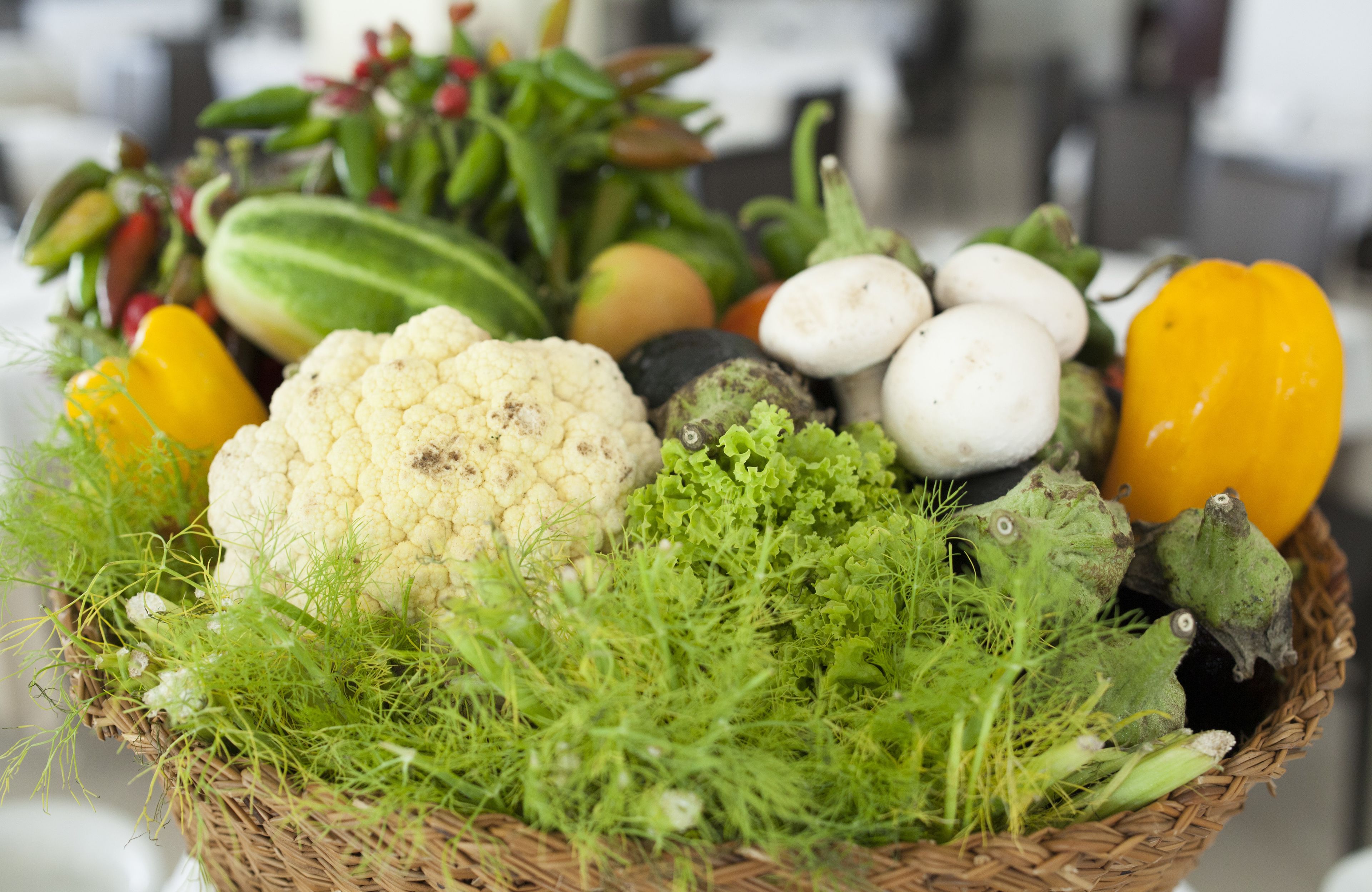 Photo - Club Azzurro Hotel & Resort