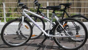 A bicycle with "Hotel Villa S. Michele" branding, parked on a wooden deck with a bamboo fence in the background.