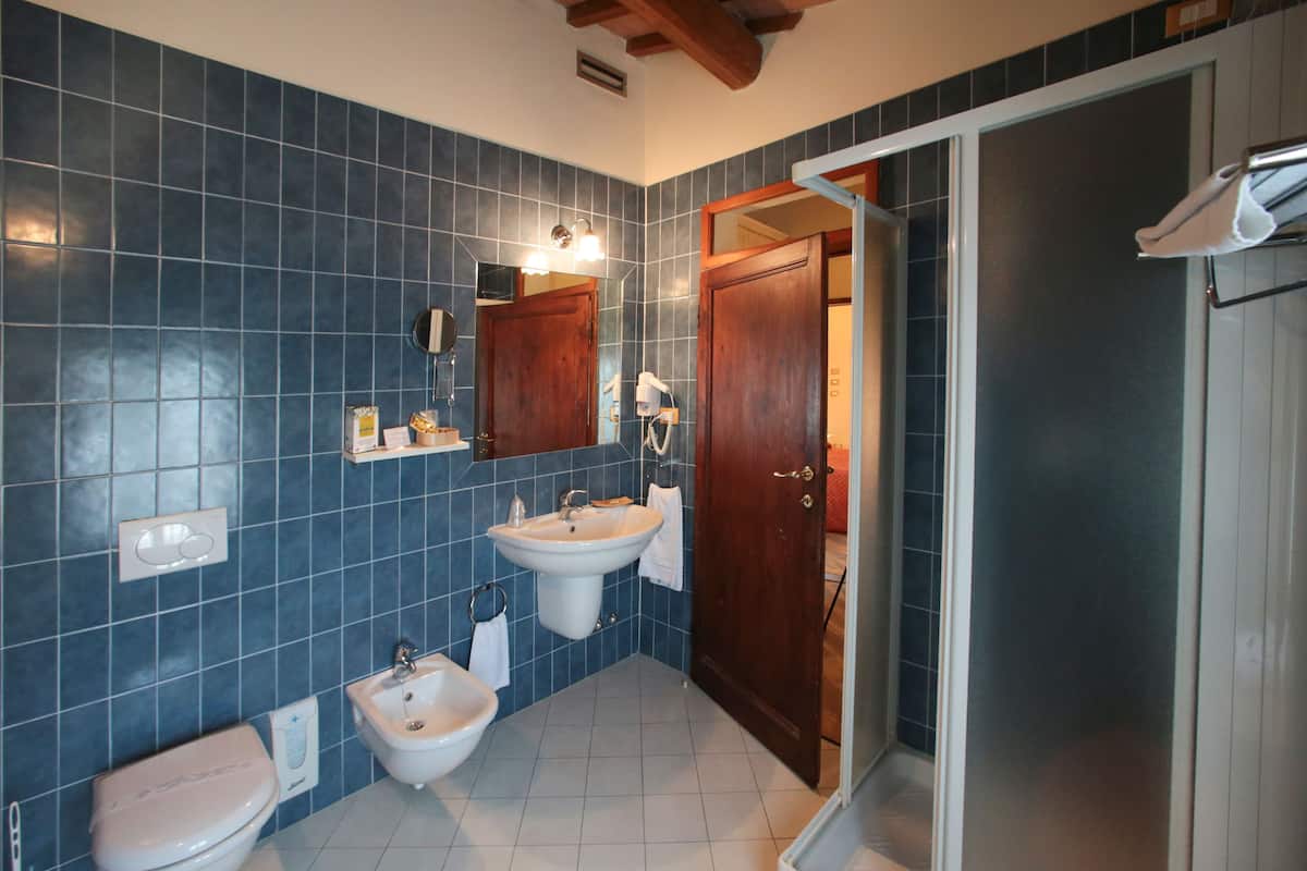 shower, free toiletries, hair dryer, bidet