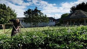 A person tending to a garden with a building in the background. - Vilcon Hotel & Konferencegaard (Slagelse)