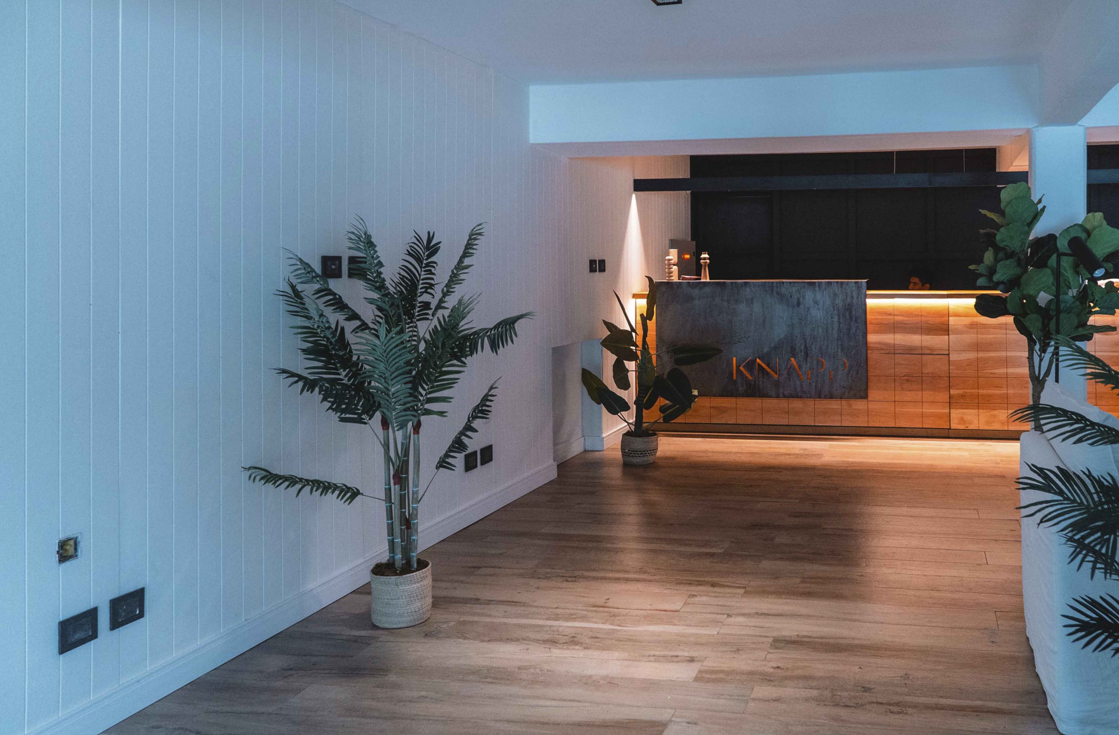 Un moderno vestíbulo de hotel con piso de madera, paredes blancas y plantas en macetas.