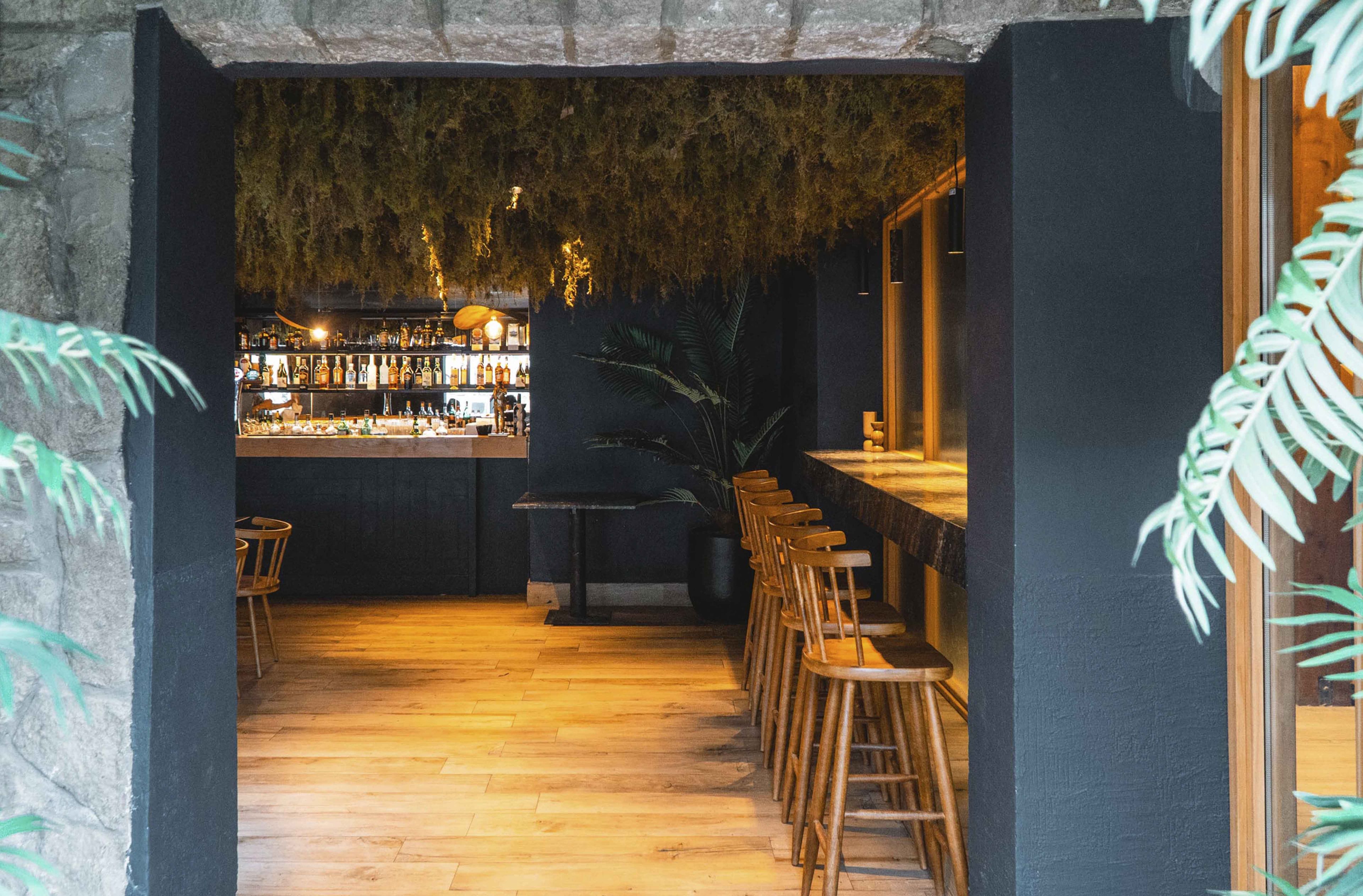 A bar area with wooden stools and a counter, surrounded by dark walls and a hanging moss ceiling.