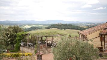 Ein Weinberg mit einer Pergola und einer Sitzgelegenheit im Freien mit Blick auf sanfte Hügel und ferne Berge.