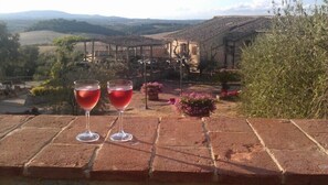 Superior Apartment, 1 Bedroom, Terrace | View from room - Antico Borgo Poggiarello (Monteriggioni)