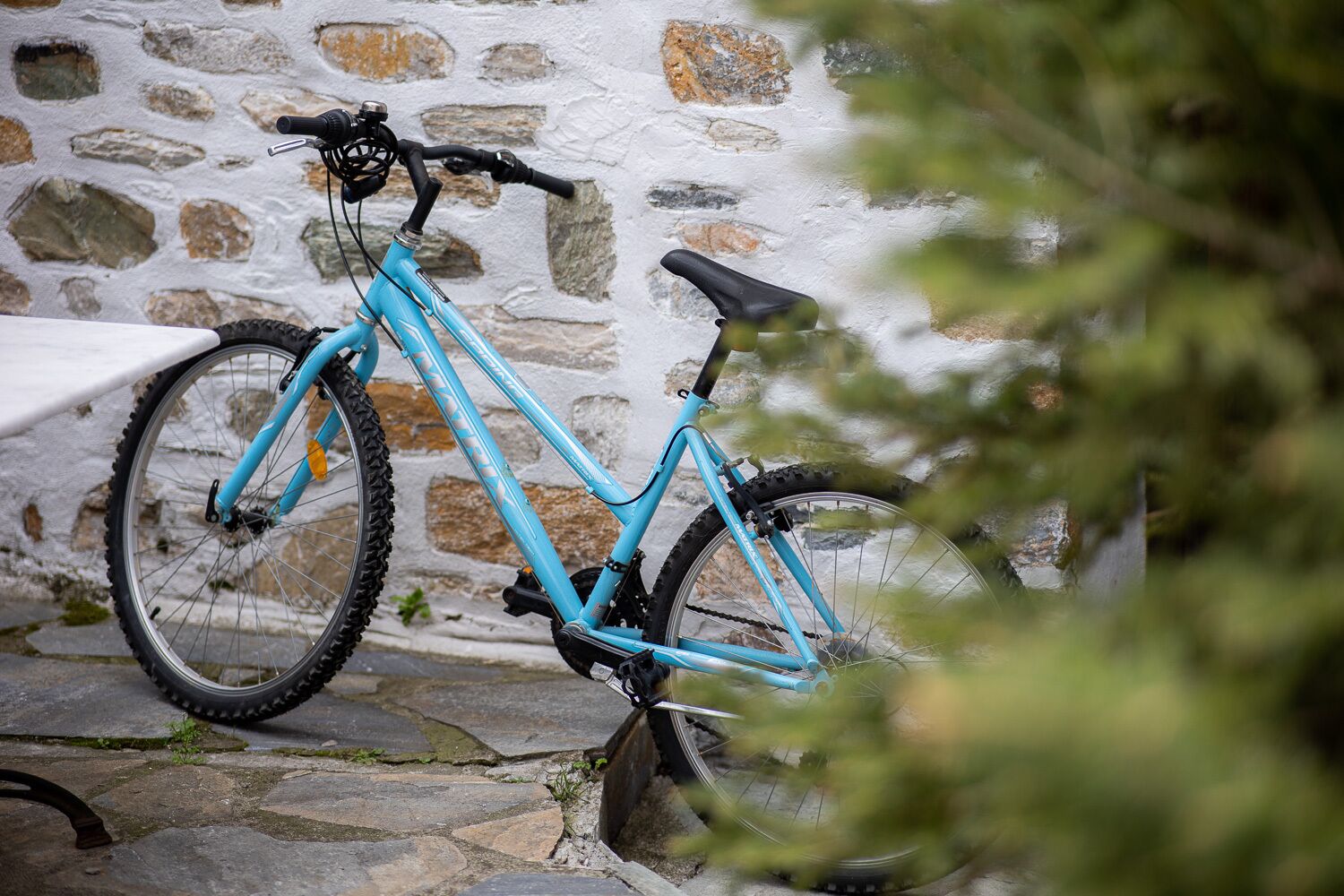 junior suite, fireplace, garden view | 1 bedroom, premium bedding, minibar, iron/ironing board