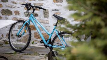Een blauwe mountainbike staat tegen een stenen muur.