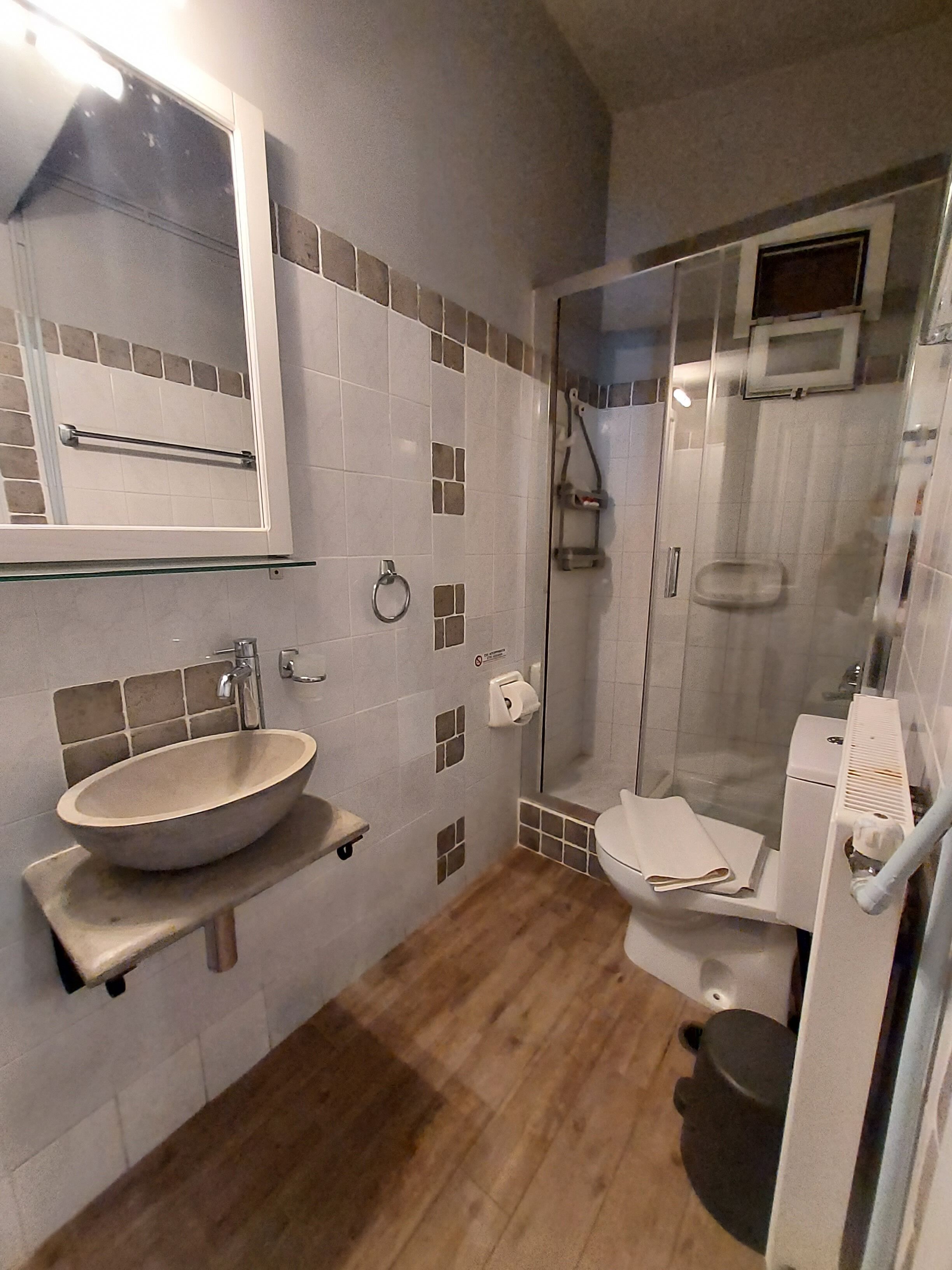 A bathroom with a large sink, a toilet, and a glass shower enclosure.