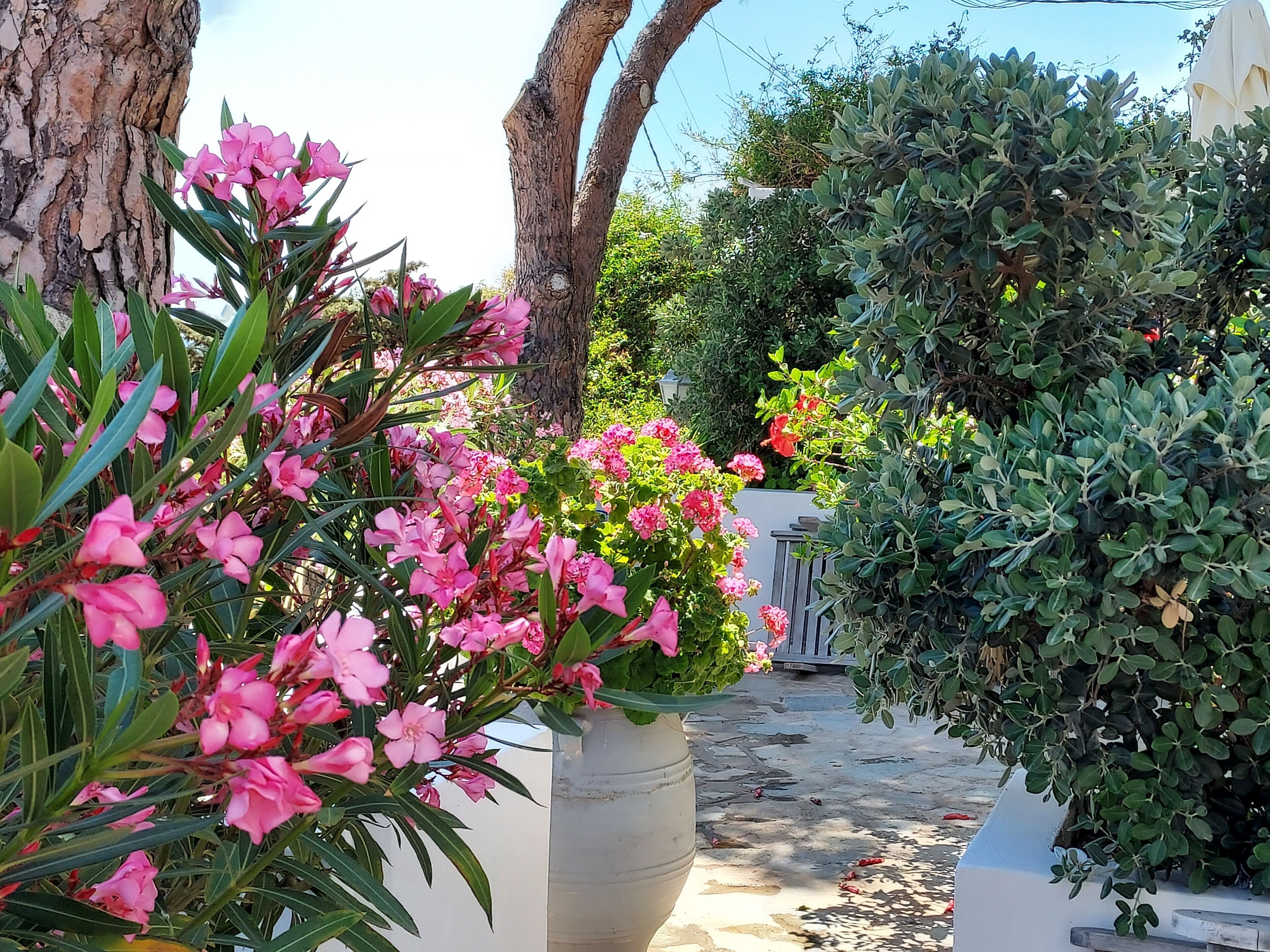 Deluxe-Apartment, zum Innenhof hin (Private Courtyard and Village View) | Terrasse/Patio