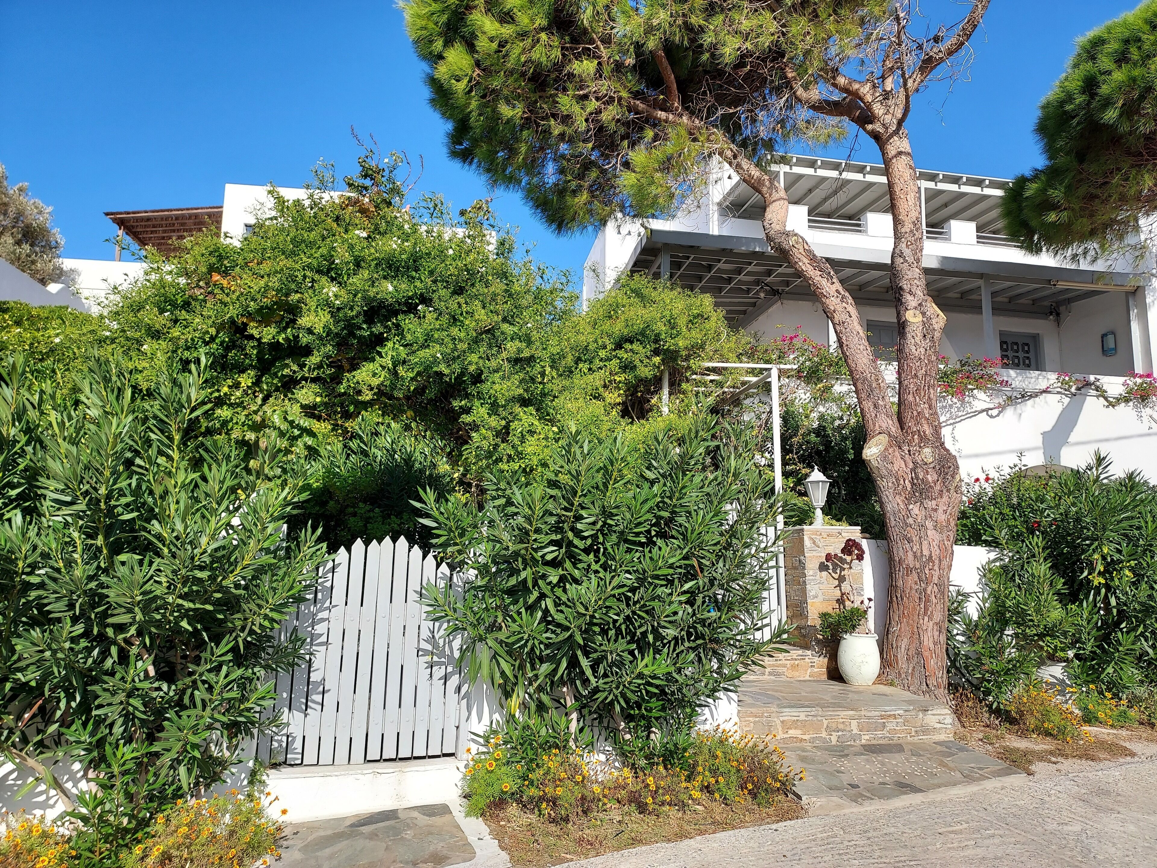 A residential area with a white fence, potted plants, and a pathway leading to a building with a balcony.