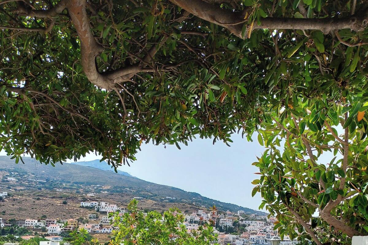 Una terraza con suelo de piedra, plantas en macetas y vistas a un pueblo en la ladera.