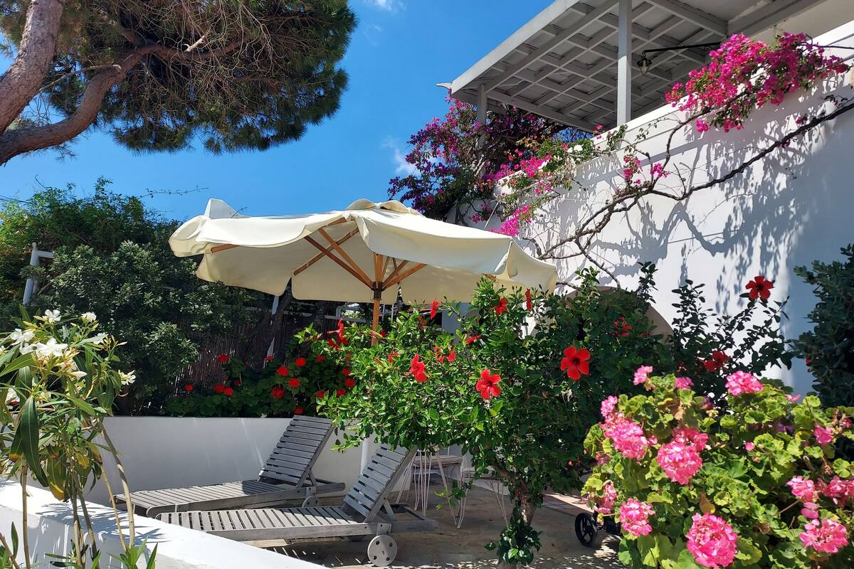 Un patio con dos sillones de descanso, un paraguas blanco y una variedad de plantas con flores.