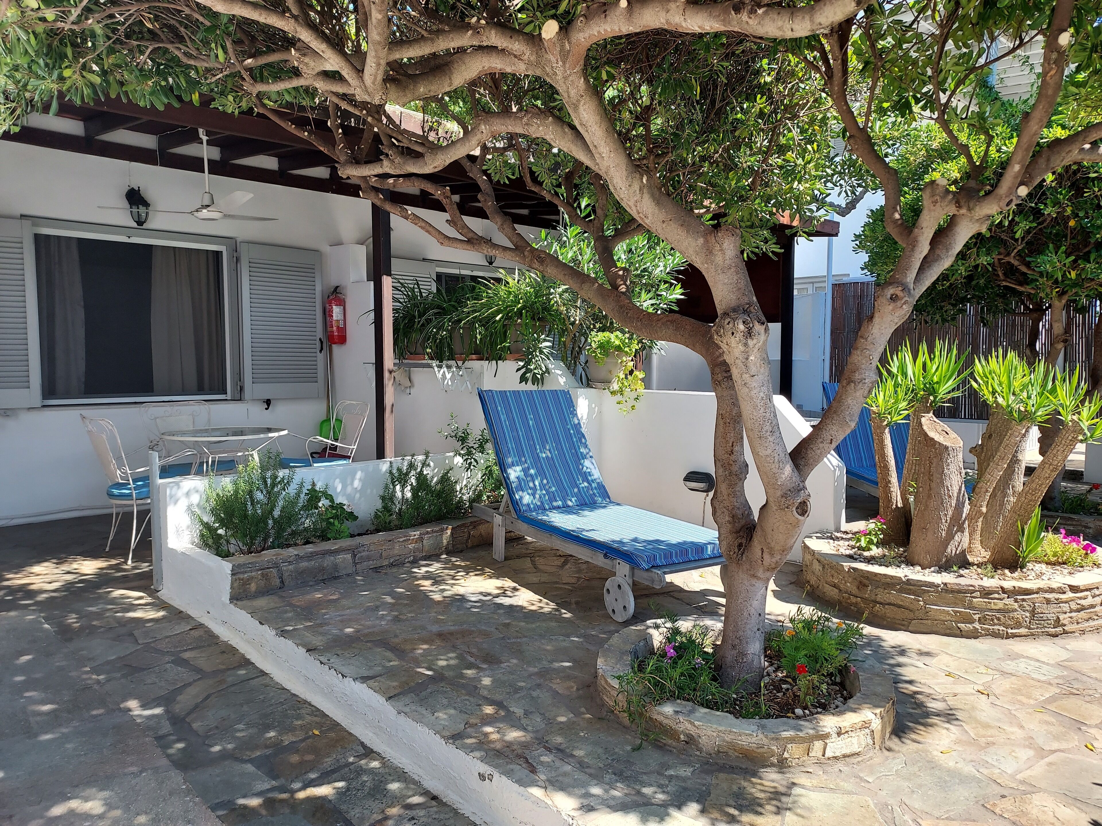 Un espace patio comprenant un fauteuil de jardin bleu, une table avec des chaises et un pot de fleurs.